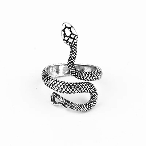 Retro snake python - snake, ring